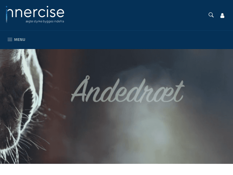 Innercise
