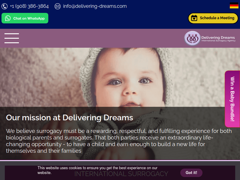 International-surrogacy