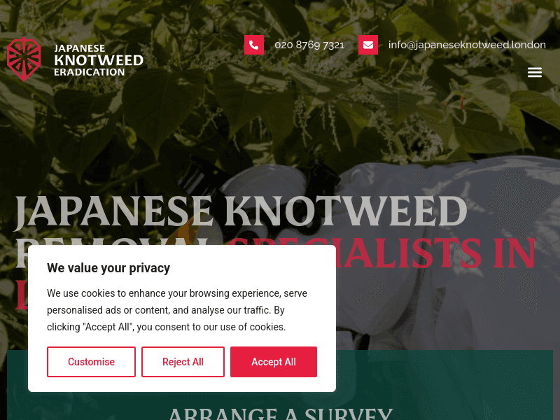 Japaneseknotweed