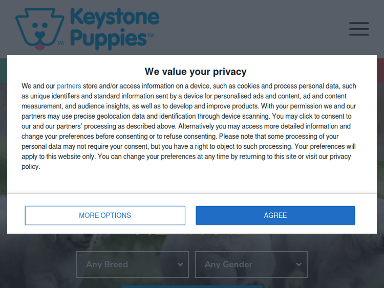 Keystonepuppies