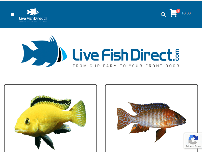 Livefishdirect