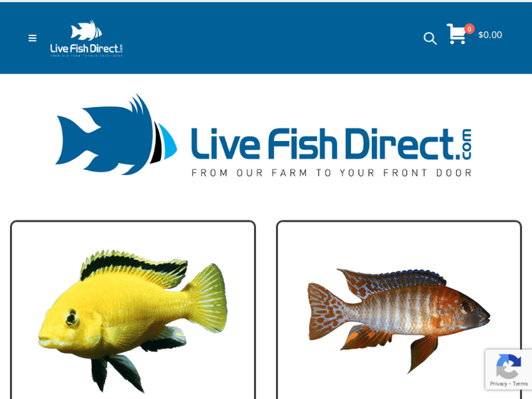 Livefishdirect