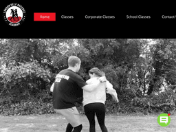 Londonselfdefenceacademy