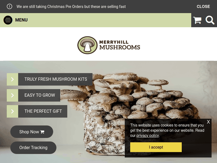 Merryhill-mushrooms