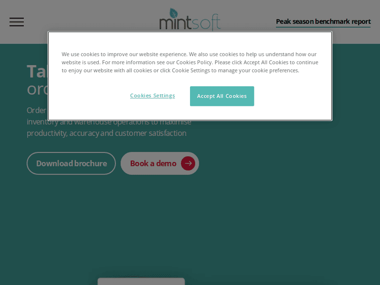 Mintsoft