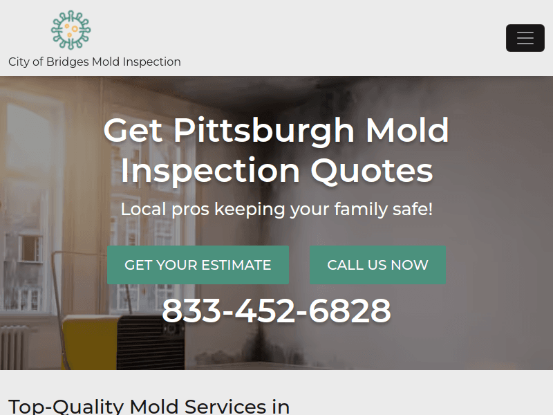 Moldinspection-pittsburgh