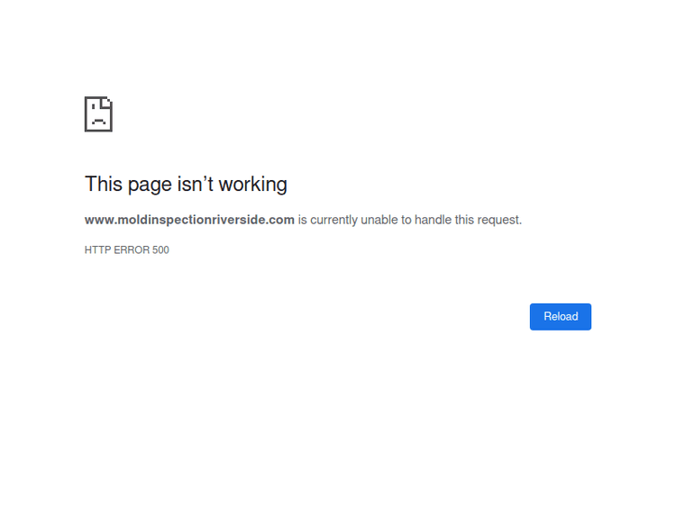 Moldinspectionriverside