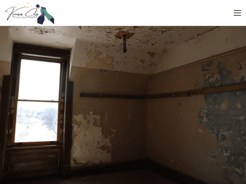 Moldremediationkansascitymo