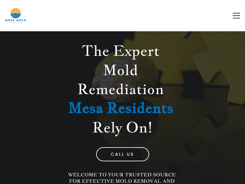 Moldremediationmesa