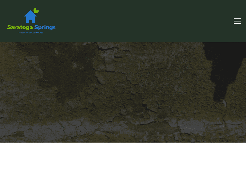 Moldremediationsaratogasprings