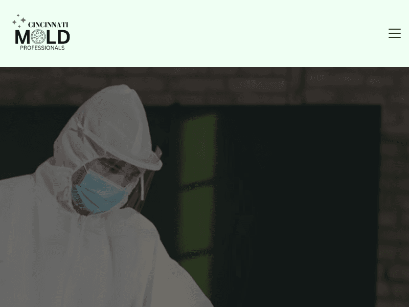 Moldremovalcincinnatioh