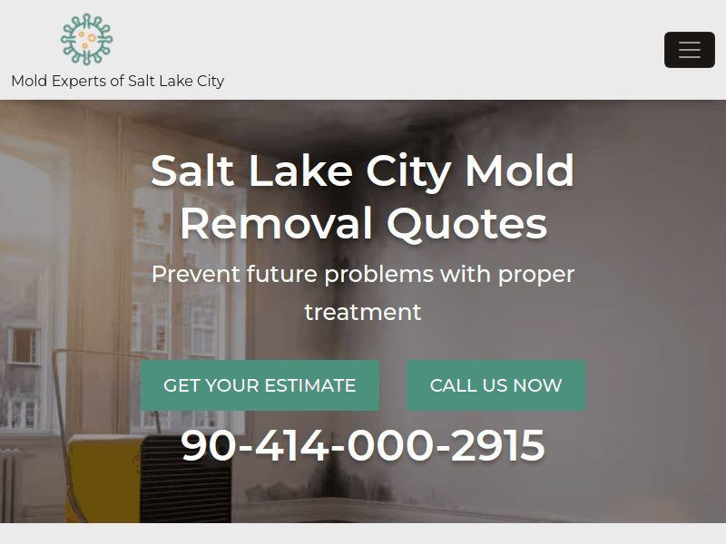 Moldremovalsaltlakecity