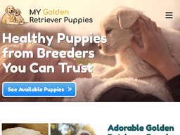 Mygoldenretrieverpuppies