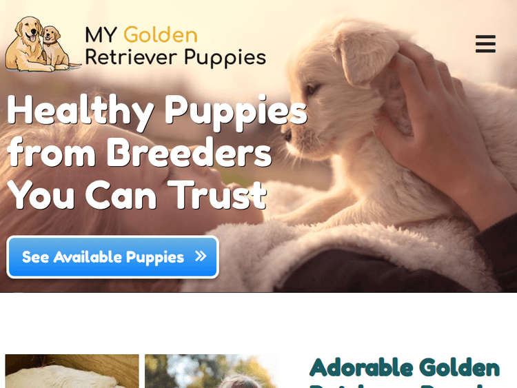Mygoldenretrieverpuppies