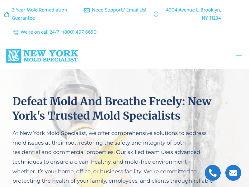 Newyorkmoldspecialist