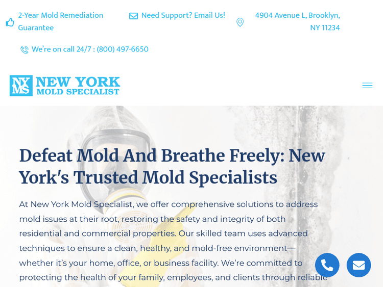 Newyorkmoldspecialist