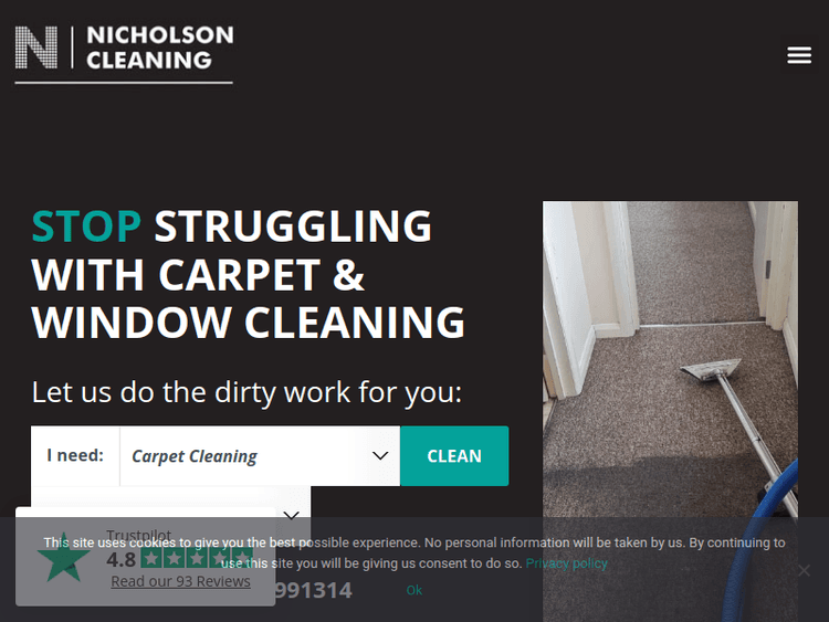 Nicholsoncleaning