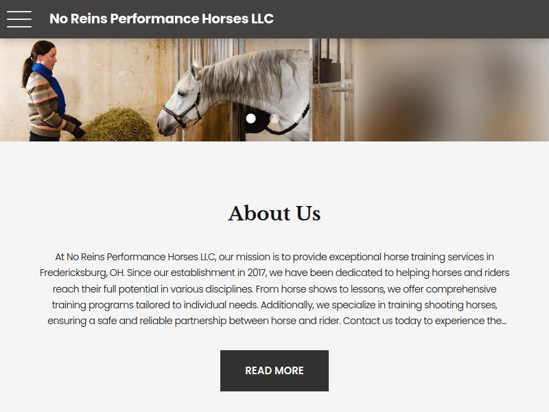 Noreinsperformancehorses