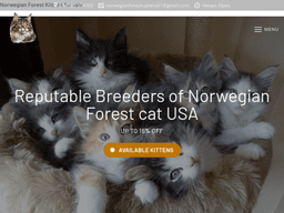 Norwegianforestkitty