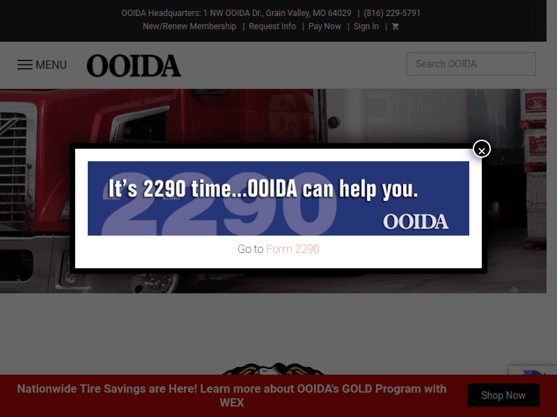 Ooida