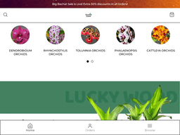 Orchidzone
