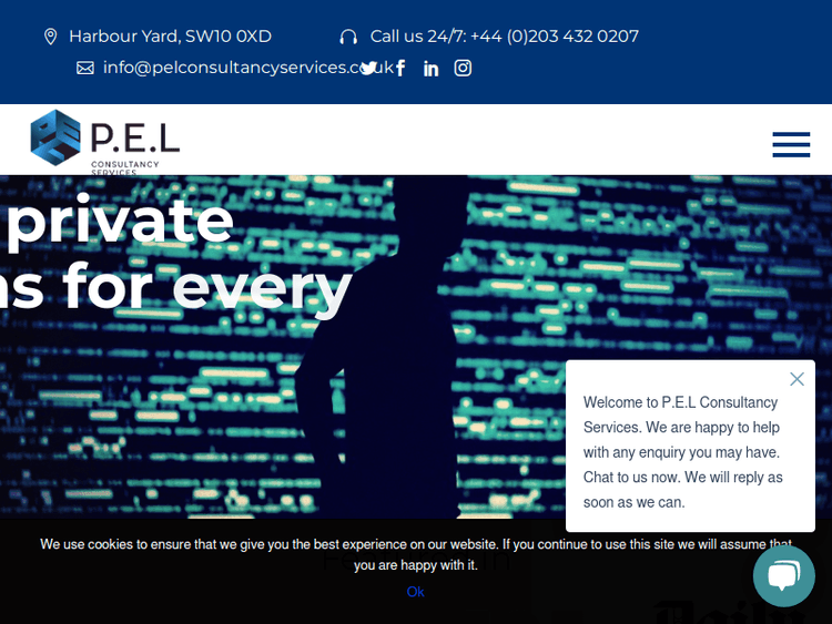 Pelconsultancyservices