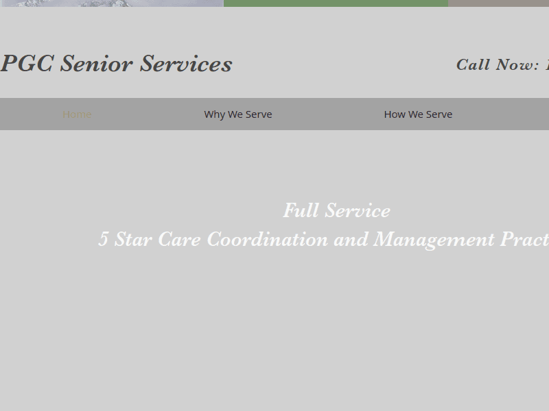 Pgcseniorservices