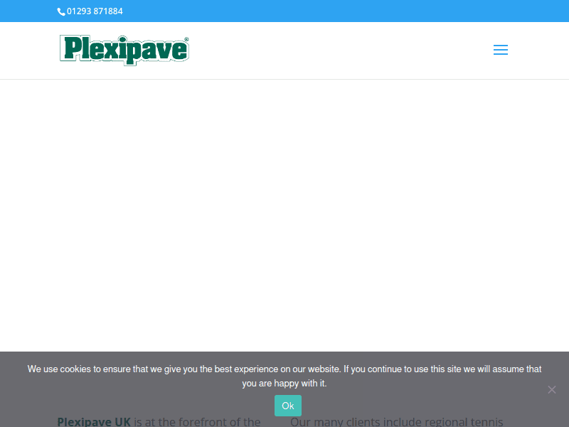 Plexipave