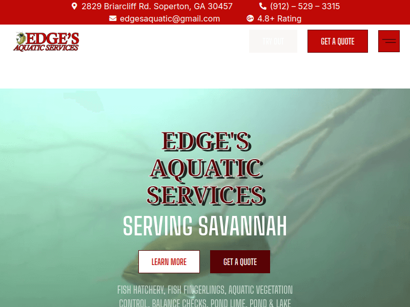 Pondstockingofgeorgia