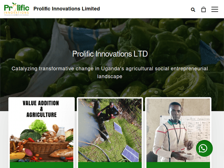 Prolificinnovationsltd