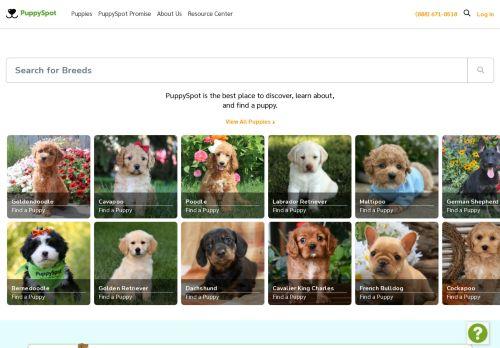 Puppyspot