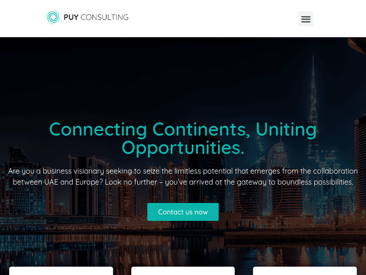 Puy-consulting