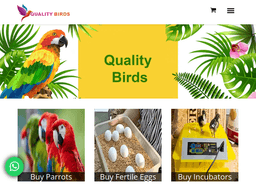 Qualitybirdsonline