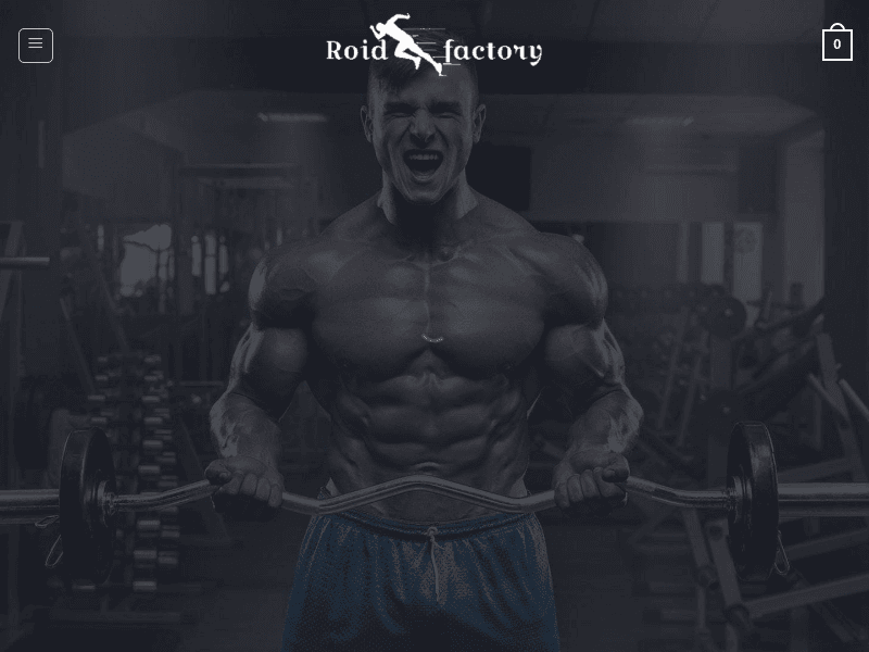 Roidfactory