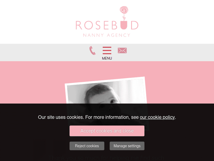Rosebudnannyagency