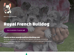Royalfrenchbulldog