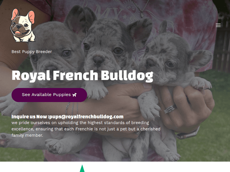 Royalfrenchbulldog