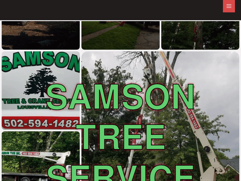 Samsontreeservice