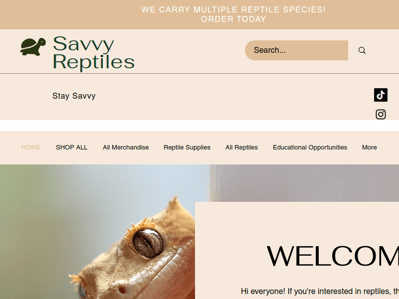 Savvyreptiles