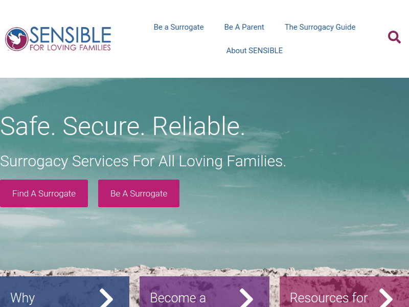 Sensiblesurrogacy