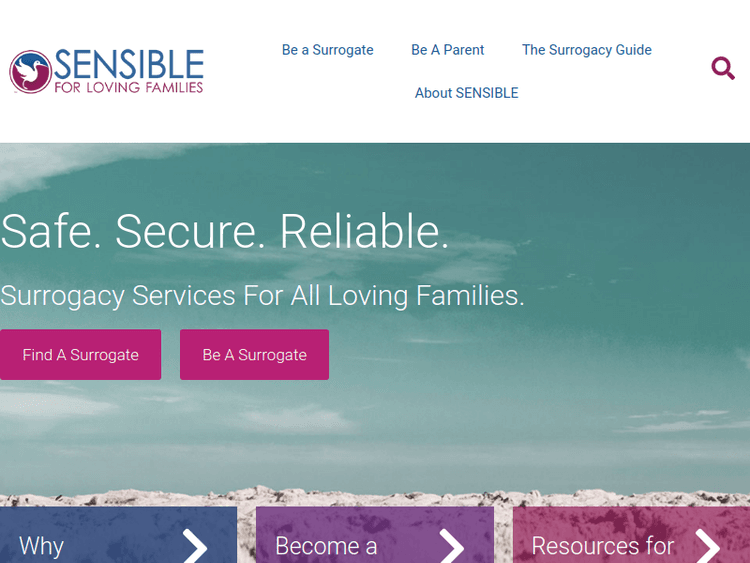 Sensiblesurrogacy