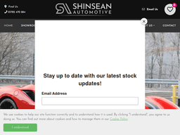 Shinseanautomotive