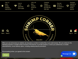 Shrimpcorner