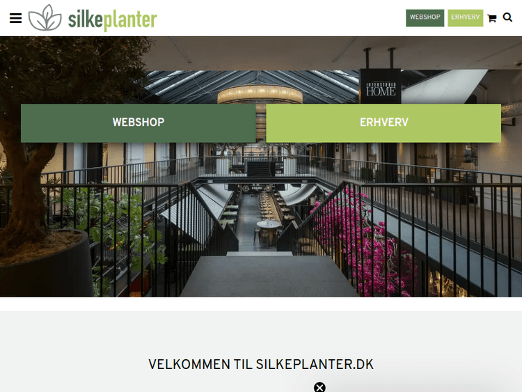 Silkeplanter