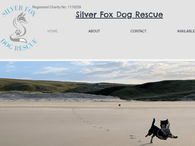 Silverfoxdogrescue