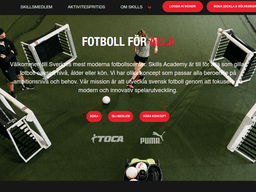 Skillsacademy