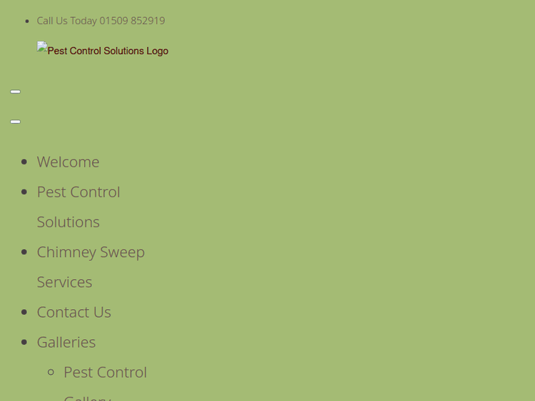 Solutionspestcontrol