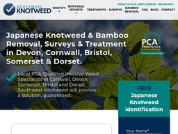 Southwestknotweed