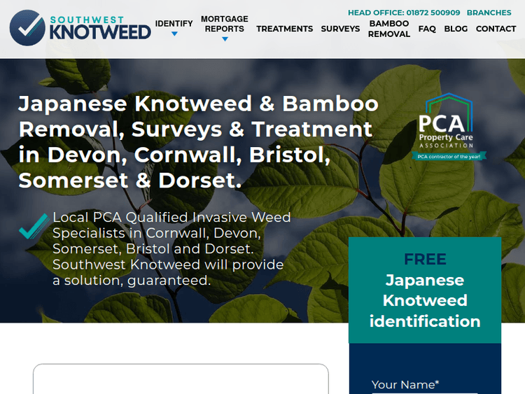 Southwestknotweed