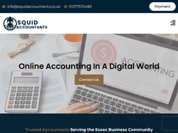 Squidaccountants